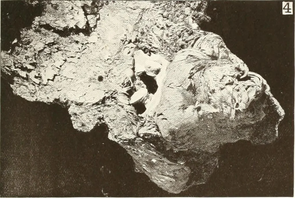 An illustration from Meydum and Memphis (III), 1910, leaf 82