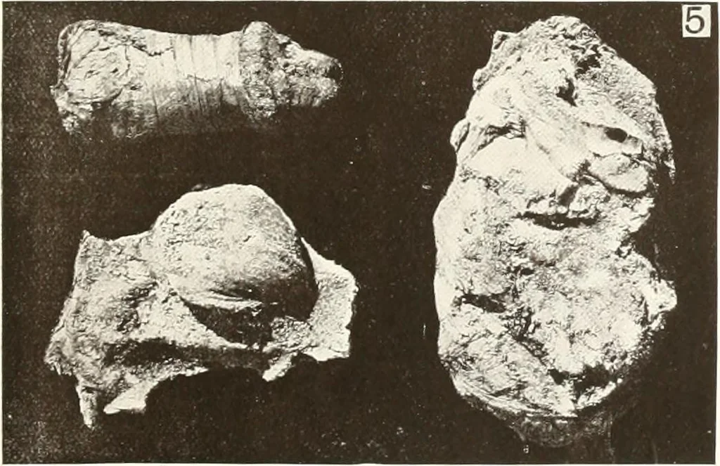 An illustration from Meydum and Memphis (III), 1910, leaf 82