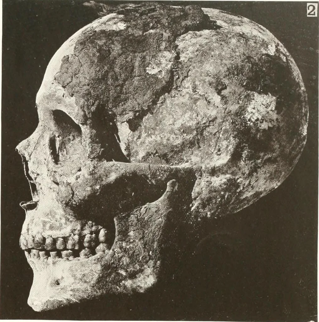 An illustration from Meydum and Memphis (III), 1910, leaf 82