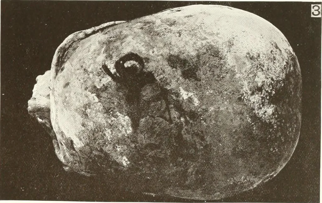 An illustration from Meydum and Memphis (III), 1910, leaf 82
