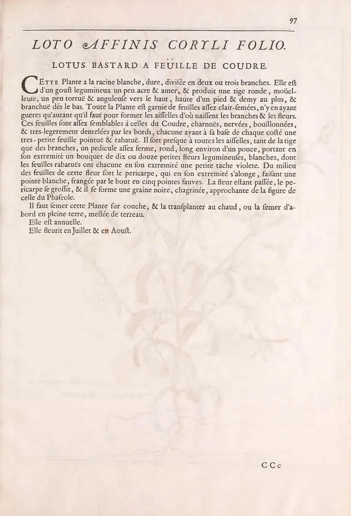 An illustration from Mémoires pour servir à l'histoire des plantes, 1676, leaf 109