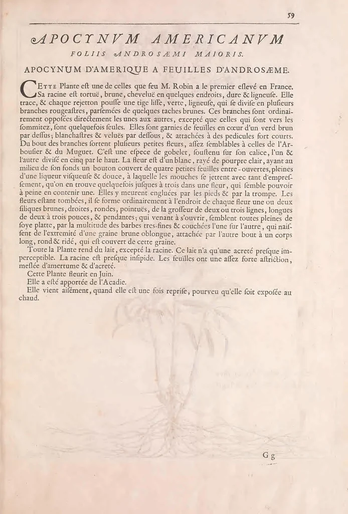 An illustration from Mémoires pour servir à l'histoire des plantes, 1676, leaf 71