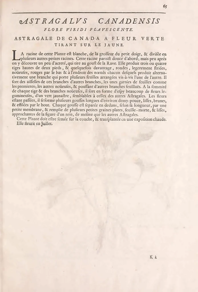 An illustration from Mémoires pour servir à l'histoire des plantes, 1676, leaf 77