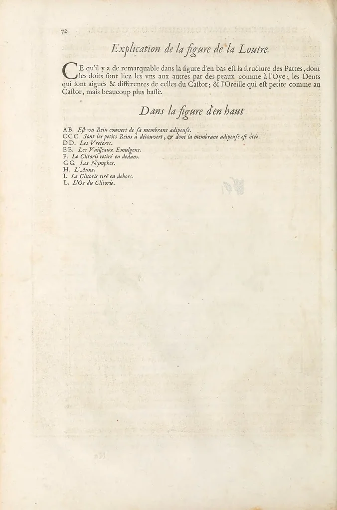 An illustration from Mémoires pour servir à l'histoire naturelle des animaux, 1676, leaf 114
