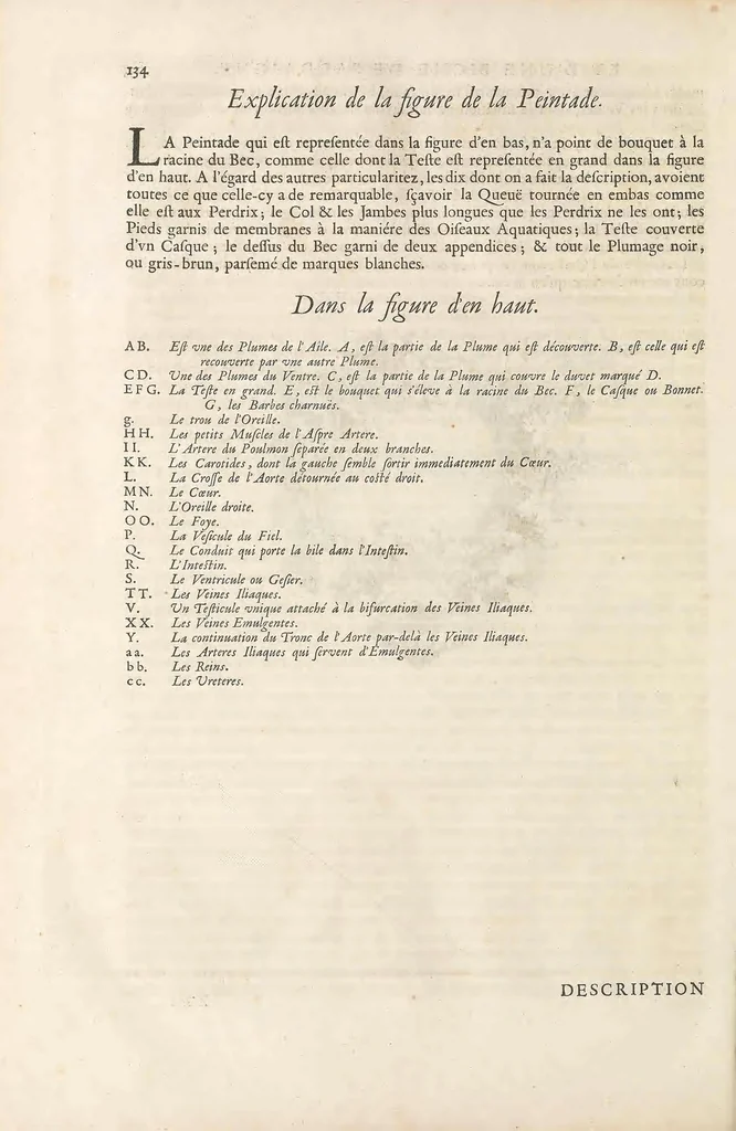 An illustration from Mémoires pour servir à l'histoire naturelle des animaux, 1676, leaf 198