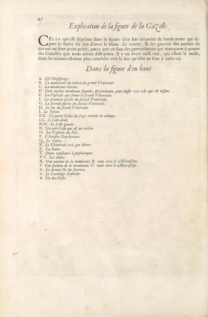 An illustration from Mémoires pour servir à l'histoire naturelle des animaux, 1676, leaf 72