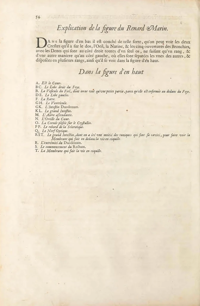 An illustration from Mémoires pour servir à l'histoire naturelle des animaux, 1676, leaf 90