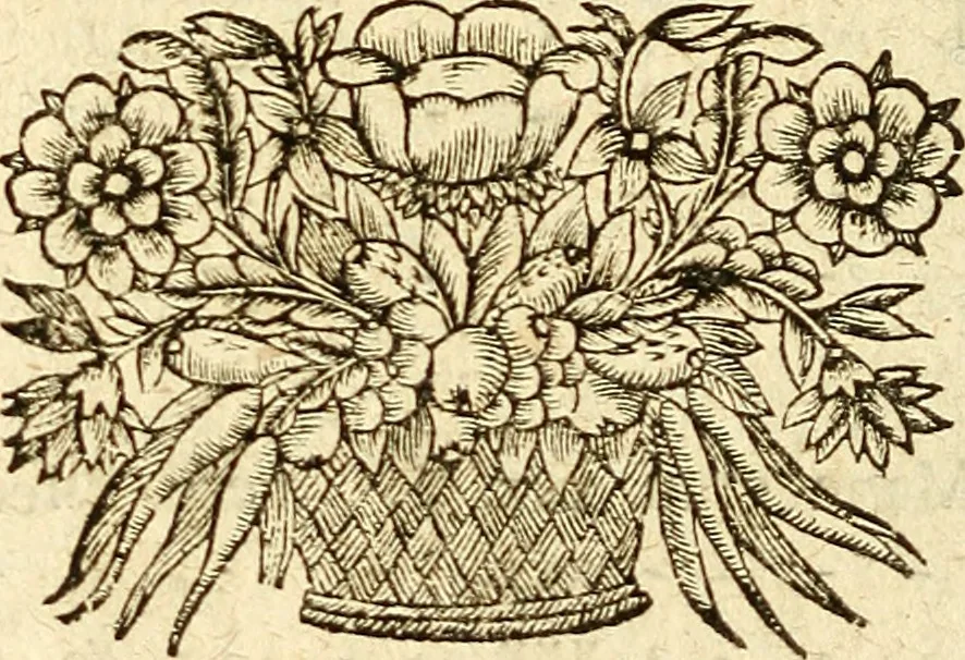An illustration from Michaelis Bernhardi Valentini prof. medici ... Polychresta exotica in curandis affectibus contumacissimis probatissima ... : ut et nova herniarum cura. Accedunt seorsim olim editae ... Dissertationes epistolicae varii argumenti .., 1700, leaf 129
