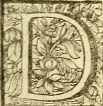 An illustration from Michaelis Bernhardi Valentini prof. medici ... Polychresta exotica in curandis affectibus contumacissimis probatissima ... : ut et nova herniarum cura. Accedunt seorsim olim editae ... Dissertationes epistolicae varii argumenti .., 1700, leaf 132