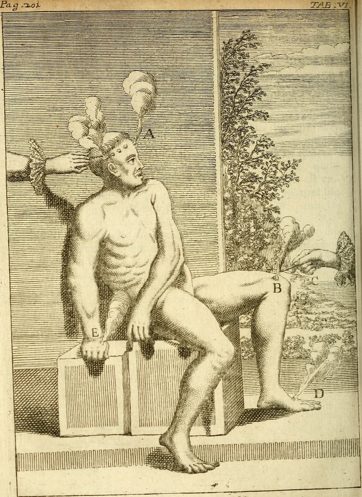 An illustration from Michaelis Bernhardi Valentini prof. medici ... Polychresta exotica in curandis affectibus contumacissimis probatissima ... : ut et nova herniarum cura. Accedunt seorsim olim editae ... Dissertationes epistolicae varii argumenti .., 1700, leaf 221