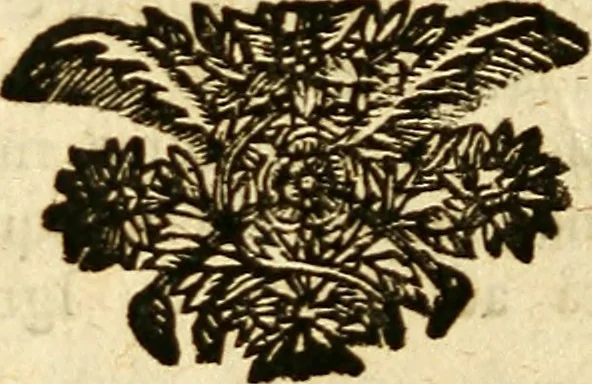 An illustration from Michaelis Bernhardi Valentini prof. medici ... Polychresta exotica in curandis affectibus contumacissimis probatissima ... : ut et nova herniarum cura. Accedunt seorsim olim editae ... Dissertationes epistolicae varii argumenti .., 1700, leaf 25