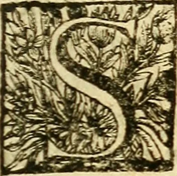An illustration from Michaelis Bernhardi Valentini prof. medici ... Polychresta exotica in curandis affectibus contumacissimis probatissima ... : ut et nova herniarum cura. Accedunt seorsim olim editae ... Dissertationes epistolicae varii argumenti .., 1700, leaf 26