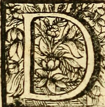An illustration from Michaelis Bernhardi Valentini prof. medici ... Polychresta exotica in curandis affectibus contumacissimis probatissima ... : ut et nova herniarum cura. Accedunt seorsim olim editae ... Dissertationes epistolicae varii argumenti .., 1700, leaf 41