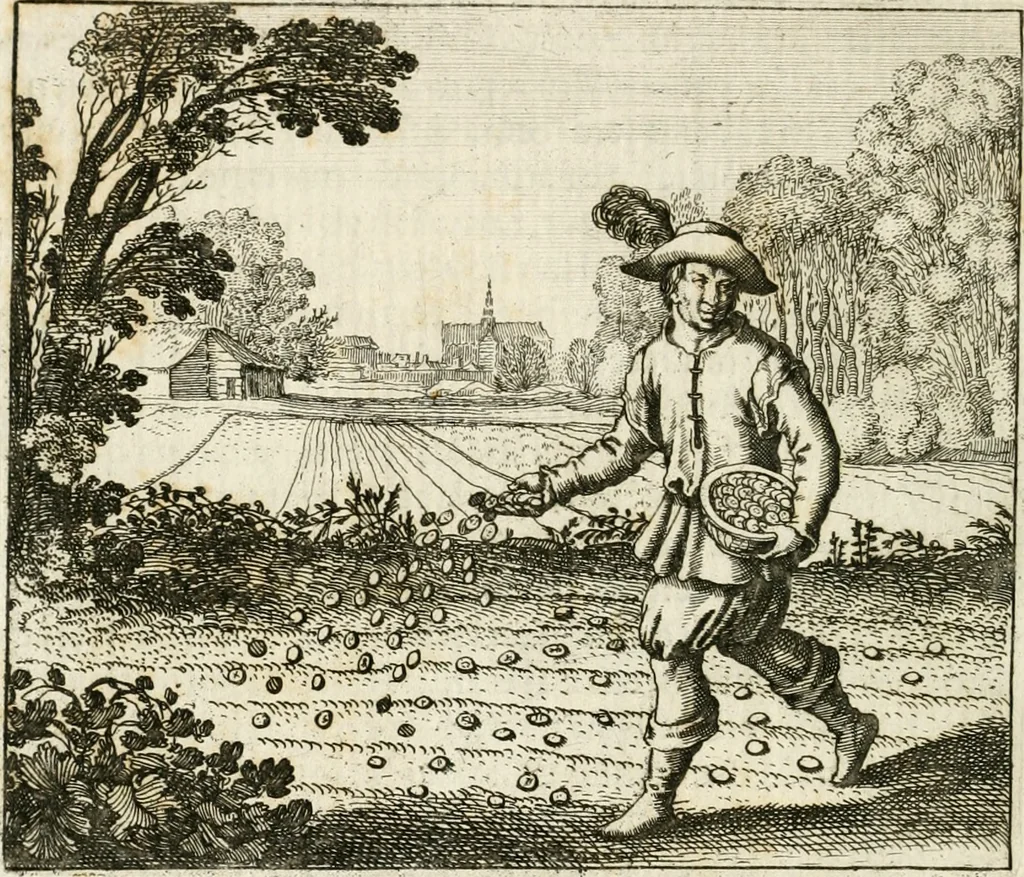 An illustration from Michaelis Majeri ... Secretioris naturae secretorum scrutinium chymicum : per oculis et intellectui accuratè accommodata, figuris cupro appositissimè incisa, ingeniosissima emblemata, hisque confines, & ad rem egregiè facientes sententias, doctissimaque item epigrammata, illustratum .., 1687, leaf 41