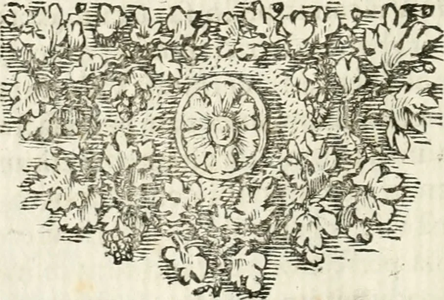 An illustration from Michaelis Majeri ... Secretioris naturae secretorum scrutinium chymicum : per oculis et intellectui accuratè accommodata, figuris cupro appositissimè incisa, ingeniosissima emblemata, hisque confines, & ad rem egregiè facientes sententias, doctissimaque item epigrammata, illustratum .., 1687, leaf 49