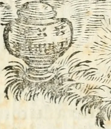 An illustration from Michaelis Majeri ... Secretioris naturae secretorum scrutinium chymicum : per oculis et intellectui accuratè accommodata, figuris cupro appositissimè incisa, ingeniosissima emblemata, hisque confines, & ad rem egregiè facientes sententias, doctissimaque item epigrammata, illustratum .., 1687, leaf 73