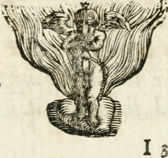 An illustration from Michaelis Majeri ... Secretioris naturae secretorum scrutinium chymicum : per oculis et intellectui accuratè accommodata, figuris cupro appositissimè incisa, ingeniosissima emblemata, hisque confines, & ad rem egregiè facientes sententias, doctissimaque item epigrammata, illustratum .., 1687, leaf 94