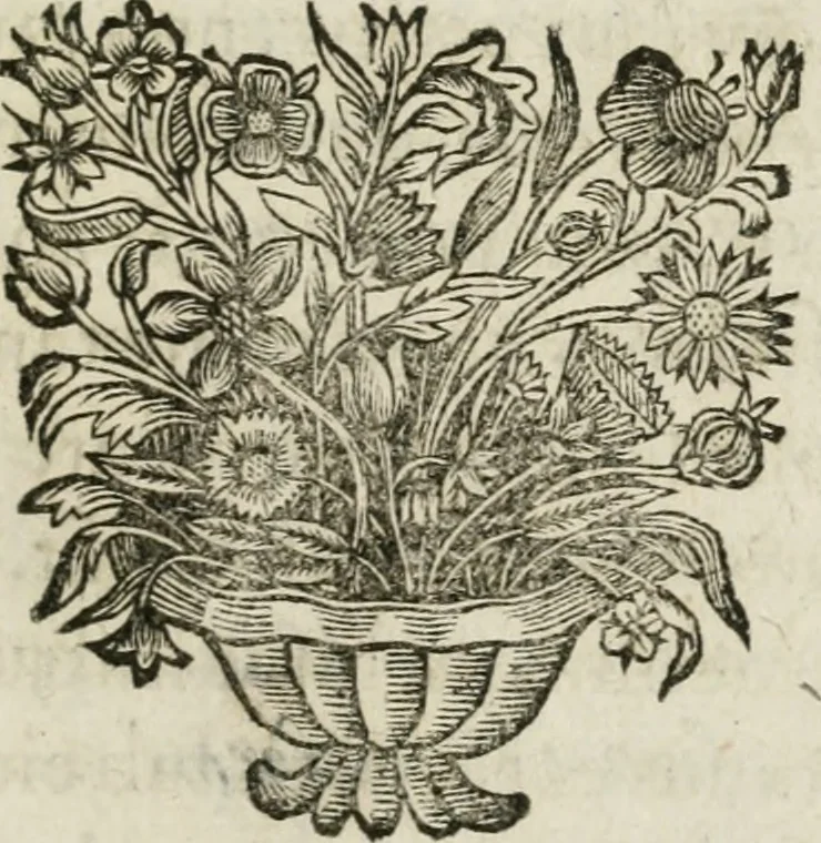 An illustration from Michaelis Majeri Viatorivm, hoc est, De montibvs planetarvm septem seu metallorum : tractatvs tam utilis, quàm perspicuus, quo, ut indice mercuriali in trivijs, vel Ariadnêo filo in labyrintho, seu cynosurâ in oceano chymicorum errorum immenso, quilibet rationalis, veritatis amans, ad illum, qui in montibus sese abdidit De Rubea-petra Alexicacum, omnibus medicis desideratum, investigandum, uti poterit, 1651, leaf 14