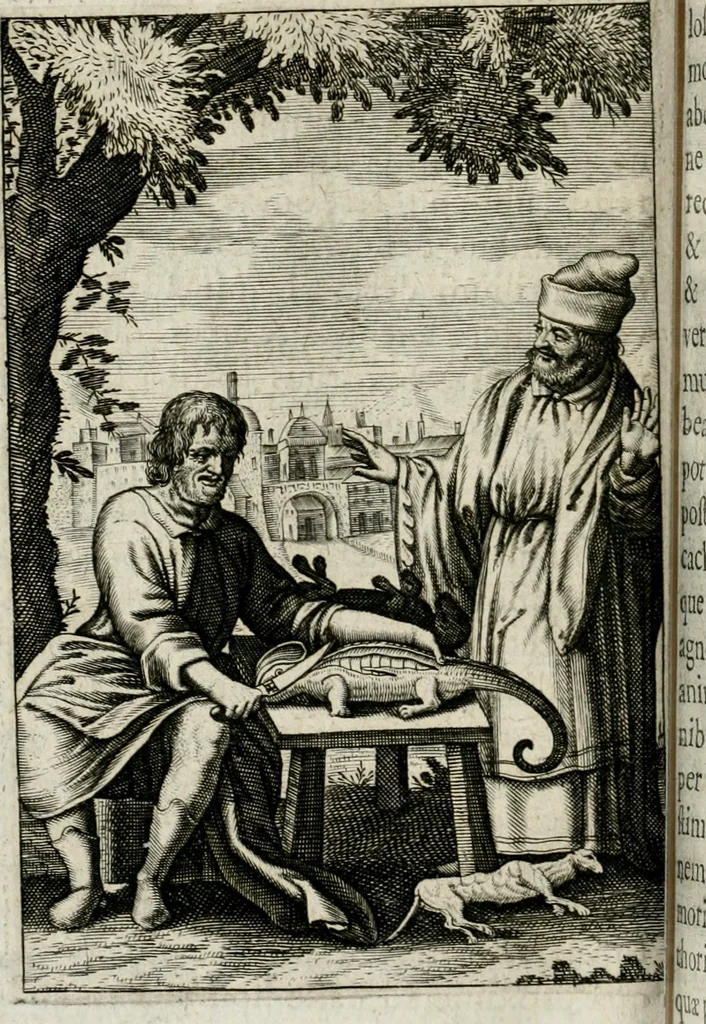 An illustration from Michaelis Majeri Viatorivm, hoc est, De montibvs planetarvm septem seu metallorum : tractatvs tam utilis, quàm perspicuus, quo, ut indice mercuriali in trivijs, vel Ariadnêo filo in labyrintho, seu cynosurâ in oceano chymicorum errorum immenso, quilibet rationalis, veritatis amans, ad illum, qui in montibus sese abdidit De Rubea-petra Alexicacum, omnibus medicis desideratum, investigandum, uti poterit, 1651, leaf 141