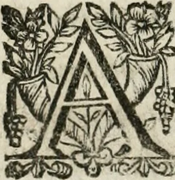 An illustration from Michaelis Majeri Viatorivm, hoc est, De montibvs planetarvm septem seu metallorum : tractatvs tam utilis, quàm perspicuus, quo, ut indice mercuriali in trivijs, vel Ariadnêo filo in labyrintho, seu cynosurâ in oceano chymicorum errorum immenso, quilibet rationalis, veritatis amans, ad illum, qui in montibus sese abdidit De Rubea-petra Alexicacum, omnibus medicis desideratum, investigandum, uti poterit, 1651, leaf 15