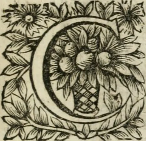 An illustration from Michaelis Majeri Viatorivm, hoc est, De montibvs planetarvm septem seu metallorum : tractatvs tam utilis, quàm perspicuus, quo, ut indice mercuriali in trivijs, vel Ariadnêo filo in labyrintho, seu cynosurâ in oceano chymicorum errorum immenso, quilibet rationalis, veritatis amans, ad illum, qui in montibus sese abdidit De Rubea-petra Alexicacum, omnibus medicis desideratum, investigandum, uti poterit, 1651, leaf 24