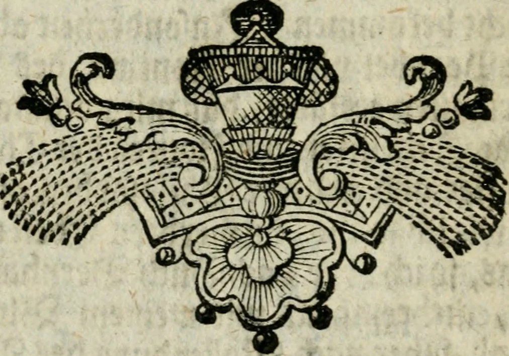 An illustration from Michaelis Sendivogii Chymische Schrifften : darinnen gar deutlich von dem Ursprung, Bereitung und Vollendung des gebenedeyten Steins der Weisen gehandelt wird, 1750, leaf 243