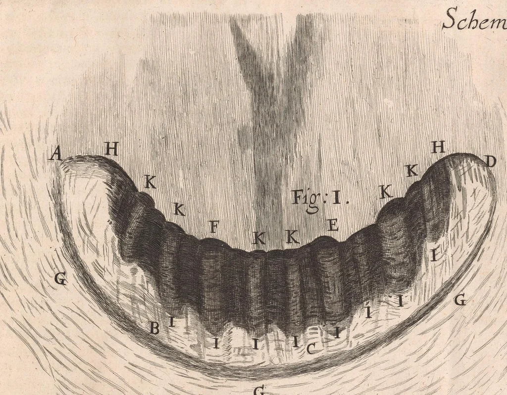 An illustration from Micrographia: or, Some physiological descriptions of minute bodies made by magnifying glasses, 1665, leaf 271