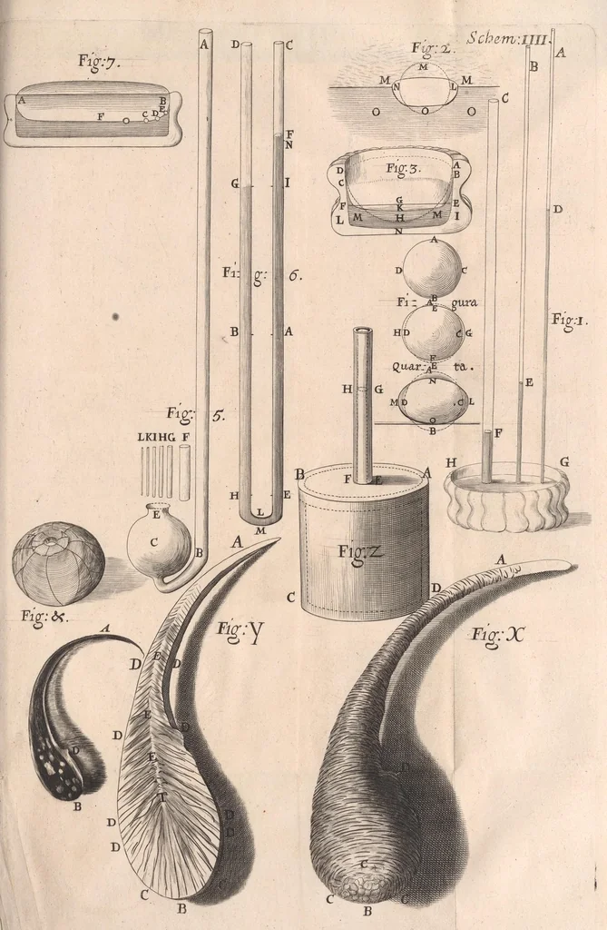 An illustration from Micrographia: or, Some physiological descriptions of minute bodies made by magnifying glasses, 1665, leaf 55