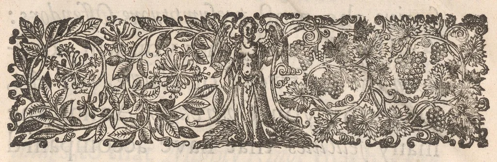 An illustration from Micrographia: or, Some physiological descriptions of minute bodies made by magnifying glasses, 1665, leaf 7