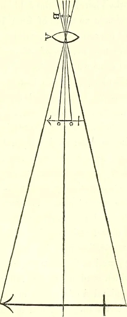 An illustration from Micrographia : containing practical essays on reflecting, solar, oxy-hydrogen gas microscopes; micrometers; eye-pieces, &c. &c., 1837, leaf 190