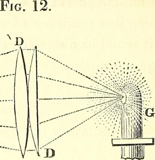 An illustration from Micrographia : containing practical essays on reflecting, solar, oxy-hydrogen gas microscopes; micrometers; eye-pieces, &c. &c., 1837, leaf 205