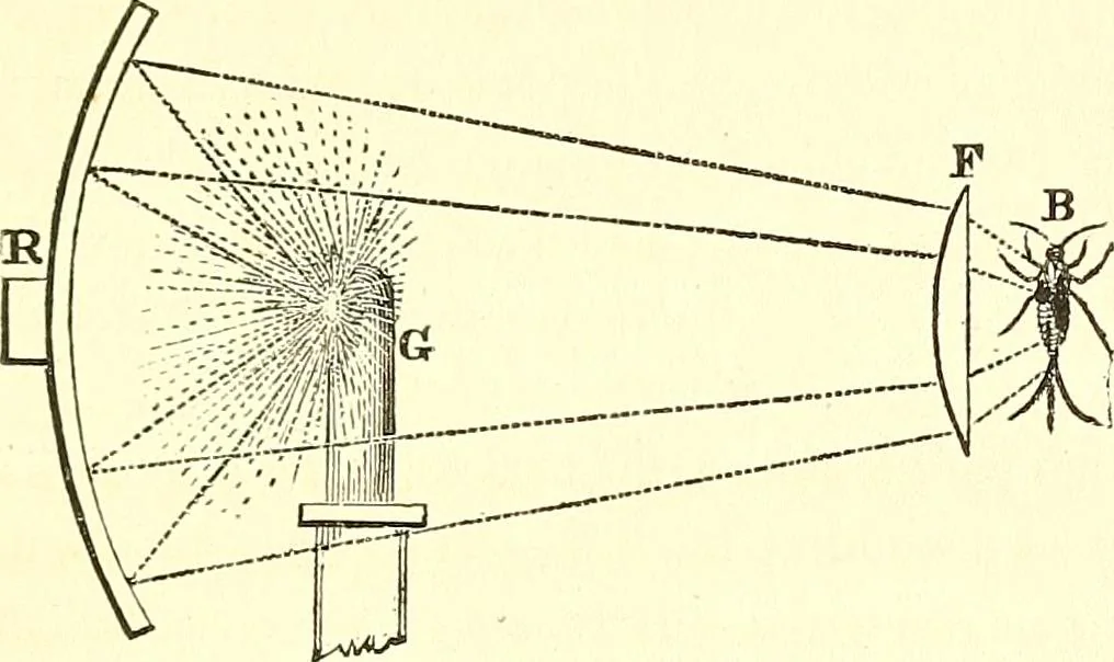 An illustration from Micrographia : containing practical essays on reflecting, solar, oxy-hydrogen gas microscopes; micrometers; eye-pieces, &c. &c., 1837, leaf 206