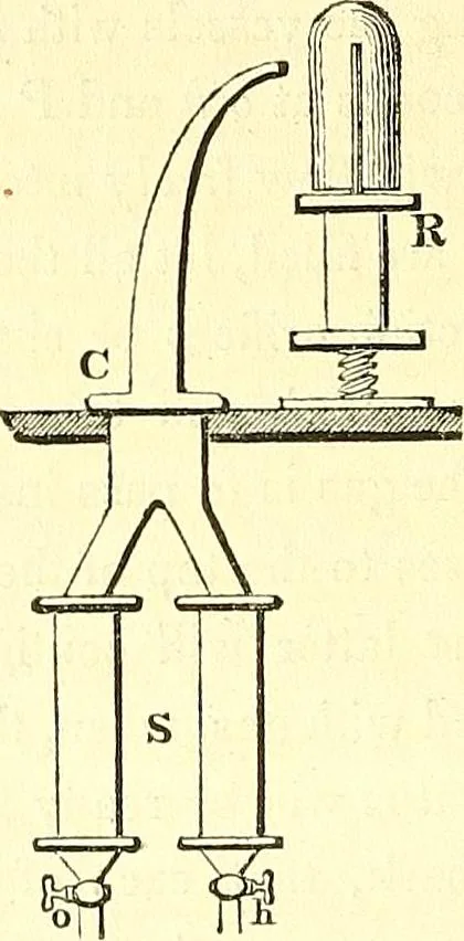 An illustration from Micrographia : containing practical essays on reflecting, solar, oxy-hydrogen gas microscopes; micrometers; eye-pieces, &c. &c., 1837, leaf 211