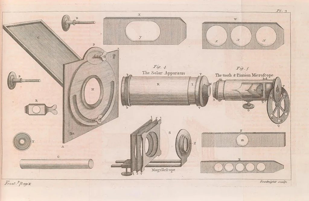 An illustration from Micrographia illustrata: or, The microscope explained ... Likewise, a natural history of aerial, terrestrial, and aquatic animals, &c., considered as microscopic objects, 1771, leaf 41