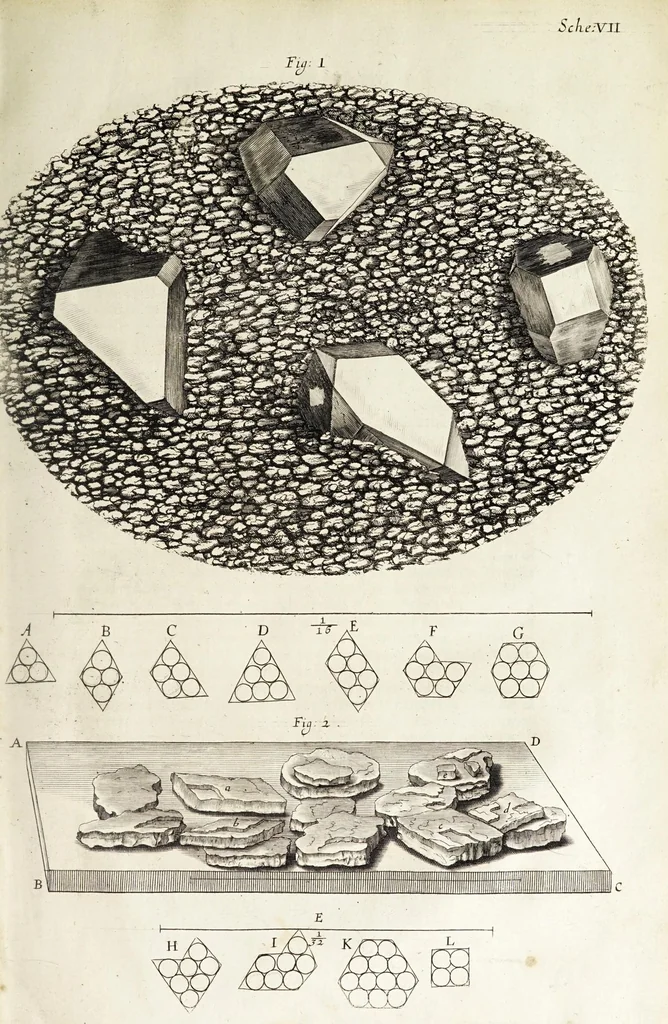 An illustration from Micrographia, or, Some physiological descriptions of minute bodies made by magnifying glasses. : With observations and inquiries thereupon., 1665, leaf 133