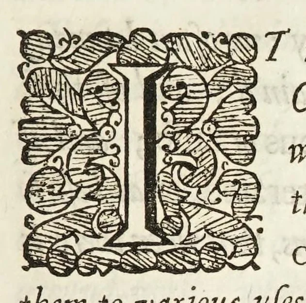 An illustration from Micrographia, or, Some physiological descriptions of minute bodies made by magnifying glasses. : With observations and inquiries thereupon., 1665, leaf 15