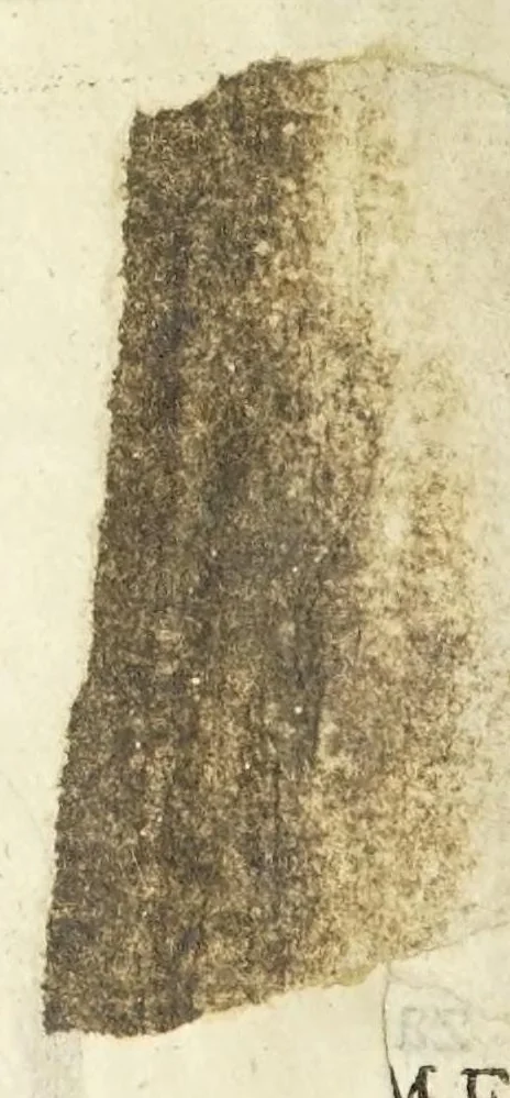 An illustration from Micrographia, or, Some physiological descriptions of minute bodies made by magnifying glasses. : With observations and inquiries thereupon., 1665, leaf 44