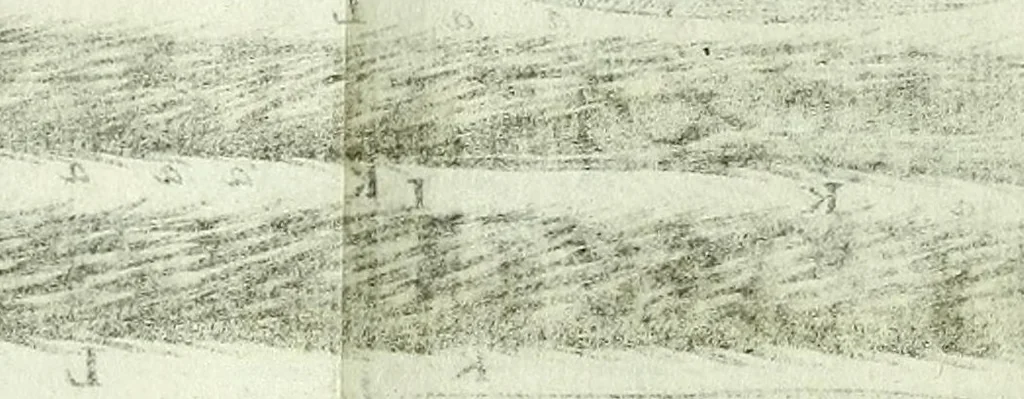 An illustration from Micrographia, or, Some physiological descriptions of minute bodies made by magnifying glasses : with observations and inquiries thereupon, 1667, leaf 222
