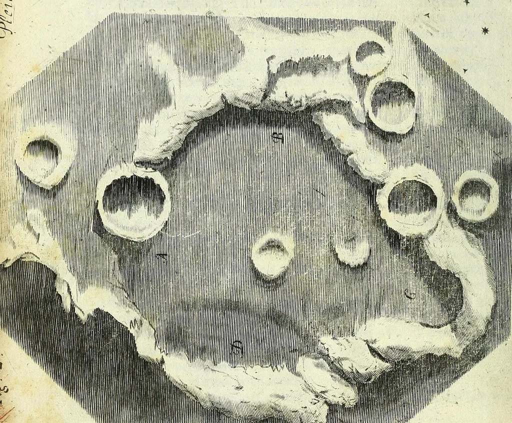 An illustration from Micrographia, or, Some physiological descriptions of minute bodies made by magnifying glasses : with observations and inquiries thereupon, 1667, leaf 394