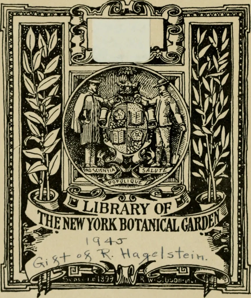 An illustration from The Microscope, 1881, leaf 1