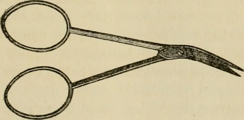 An illustration from The Microscope, 1881, leaf 146