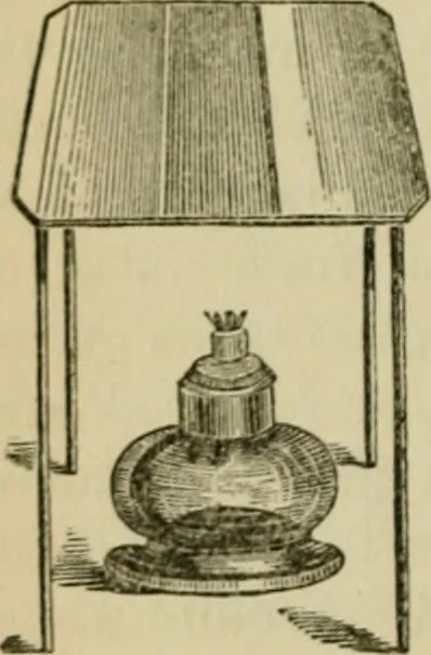 An illustration from The Microscope, 1881, leaf 149