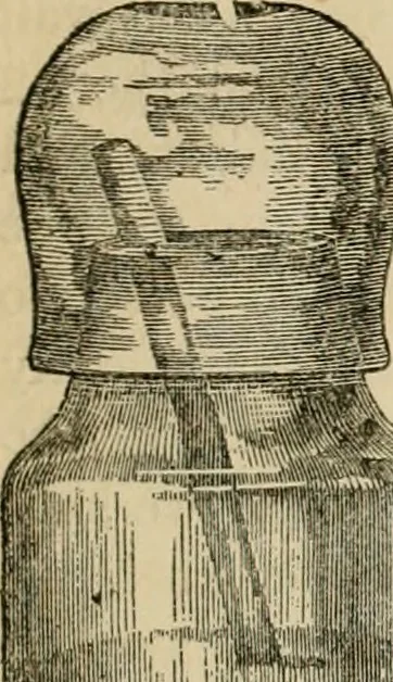 An illustration from The Microscope, 1881, leaf 150