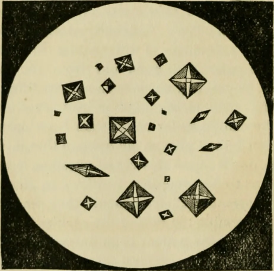 An illustration from The Microscope, 1881, leaf 17