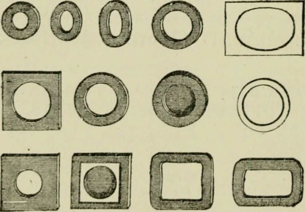 An illustration from The Microscope, 1881, leaf 173