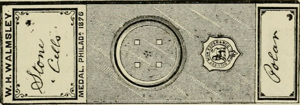 An illustration from The Microscope, 1881, leaf 180