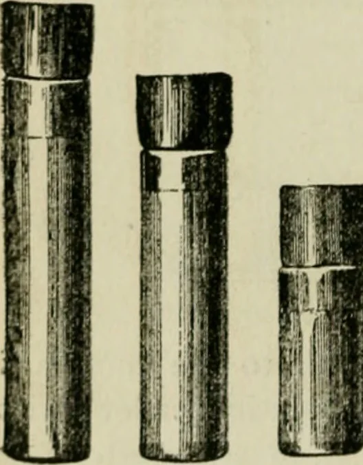 An illustration from The Microscope, 1881, leaf 181