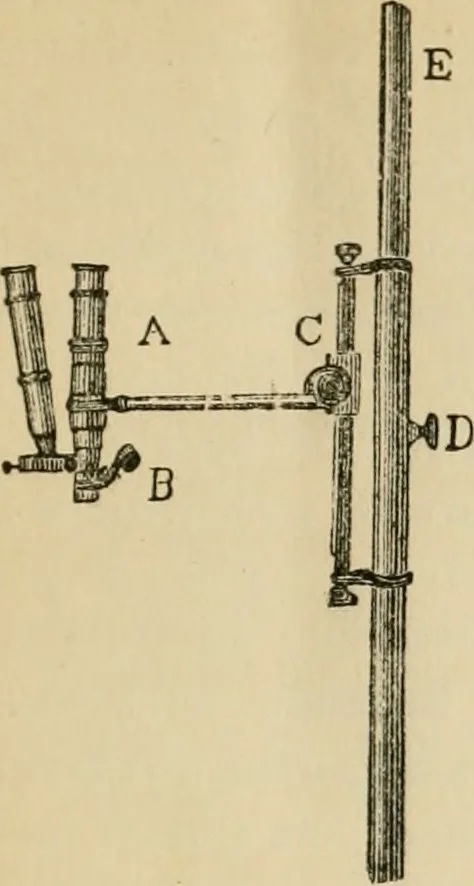 An illustration from The Microscope, 1881, leaf 40