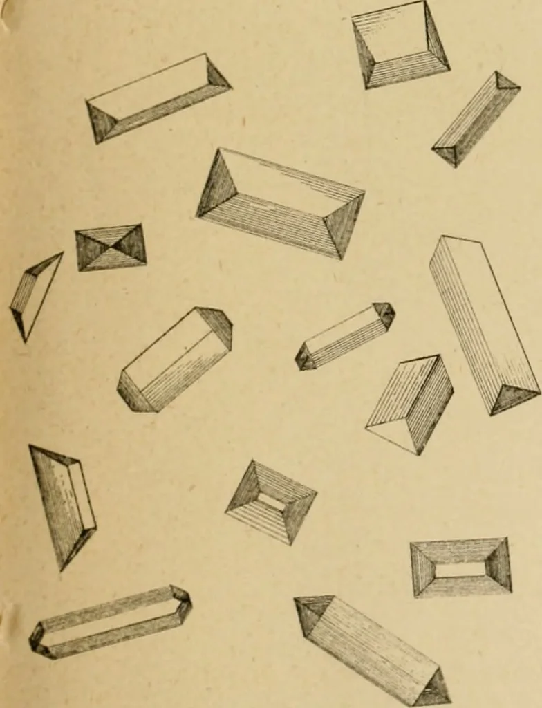 An illustration from The Microscope, 1881, leaf 76