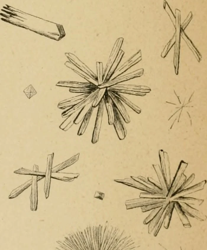 An illustration from The Microscope, 1881, leaf 76